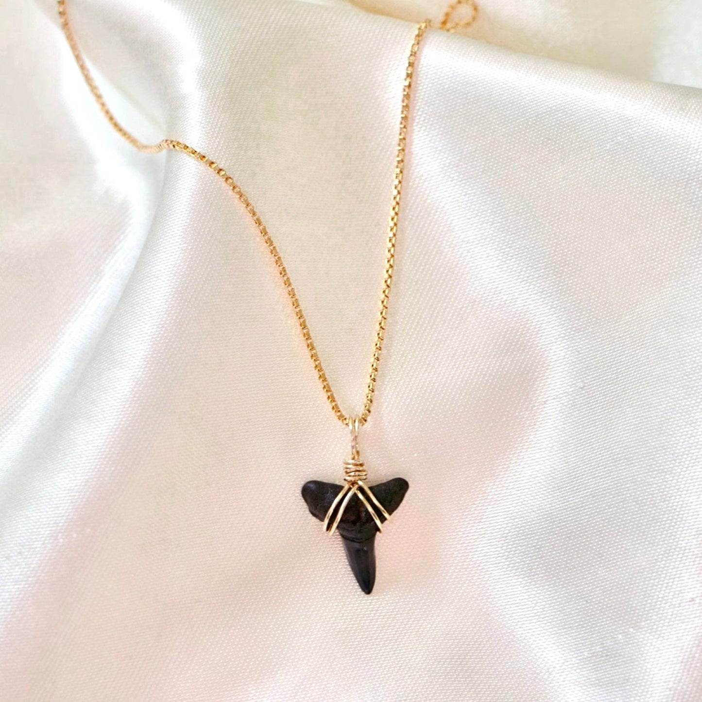 Shark Tooth Necklace