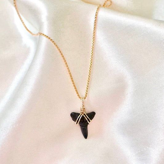 Shark Tooth Necklace