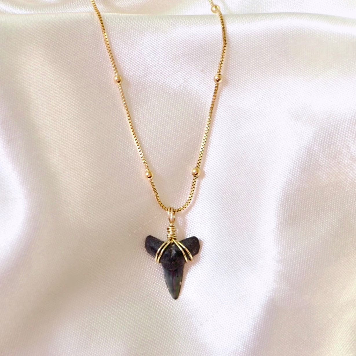Shark Tooth Necklace