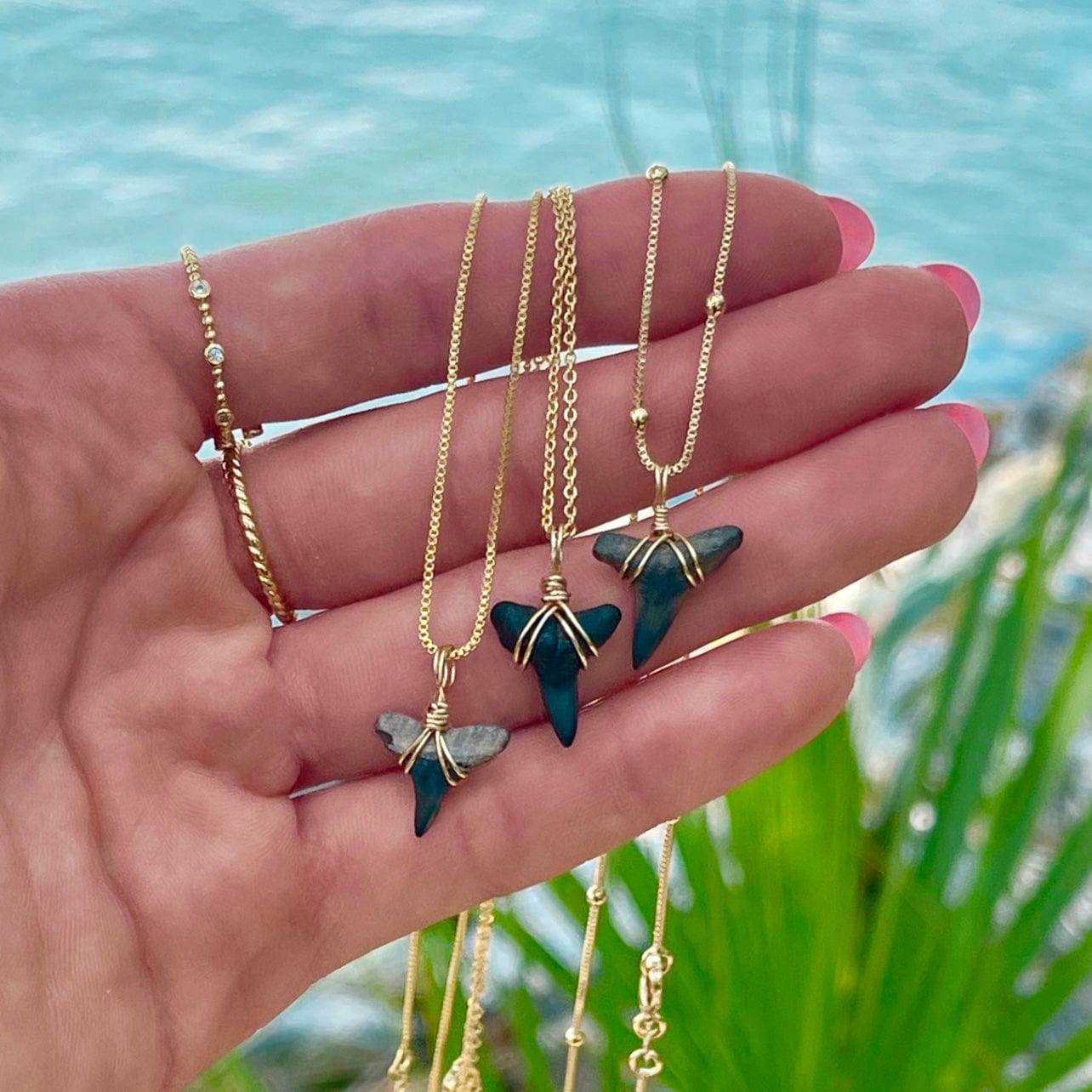 Shark Tooth Necklace
