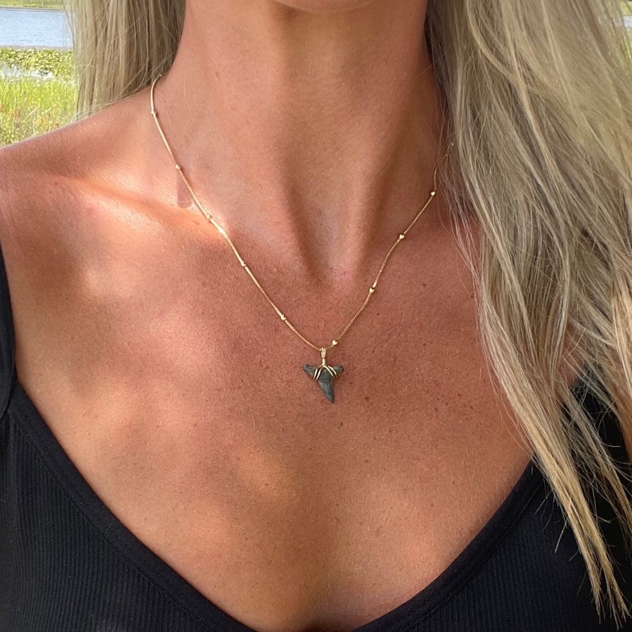 Shark Tooth Necklace